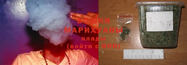 дживик Каменногорск