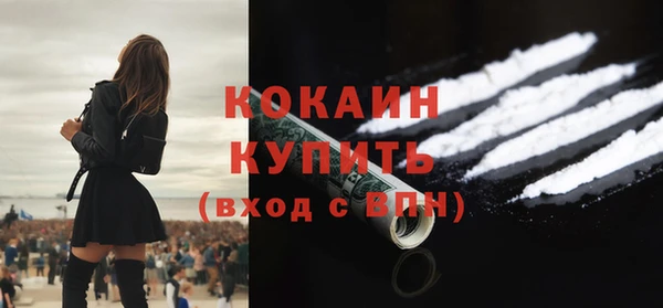 дживик Каменногорск