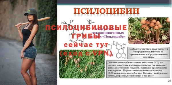 не бодяженный Сосновый Бор