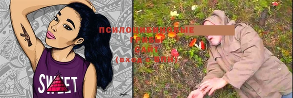 не бодяженный Сосновый Бор
