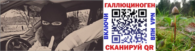 Псилоцибиновые грибы Psilocybe Соль-Илецк