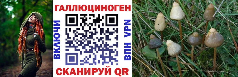 что такое   гидра онион  Галлюциногенные грибы мицелий  Соль-Илецк 