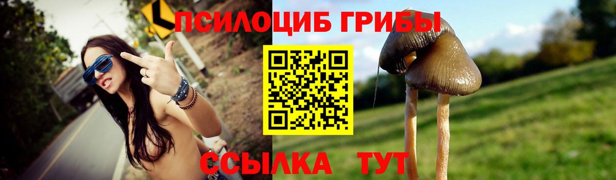 Псилоцибиновые грибы Psilocybe  Псилоцибиновые грибы мухоморы  Вход с VPN  Соль-Илецк 