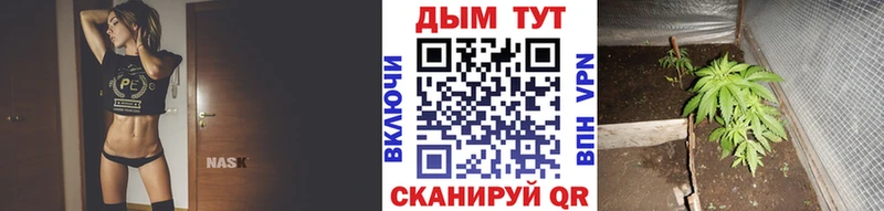 как найти закладки  Соль-Илецк  это формула  МАРИХУАНА AK-47  блэк спрут ССЫЛКА 